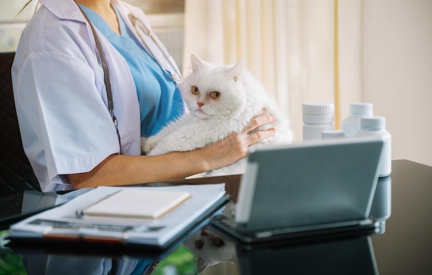 Tierärztin mit Stethoskop für Tierklinik für Kätzchen