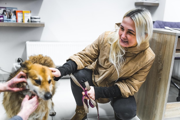 Tierärztliche Untersuchung Innenaufnahme in voller Länge einer kaukasischen Hundebesitzerin, die in lässiger Herbstweise gekleidet ist und ihren Mischlingshund während der tierärztlichen Untersuchung streichelt