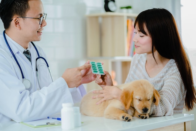 Tierarzt geben einer netten Frau eine Medizin für den kranken goldenen Apportierhundwelpen