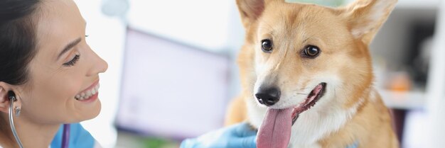 Tierarzt hört Hund mit Stethoskop in der Klinikdiagnose von Krankheiten und Behandlung von