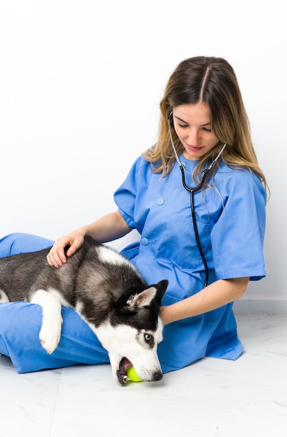 Tierarzt in der Tierklinik mit Siberian Husky Hund