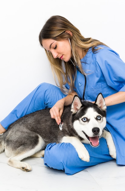 Tierarzt in der Tierklinik mit Siberian Husky Hund