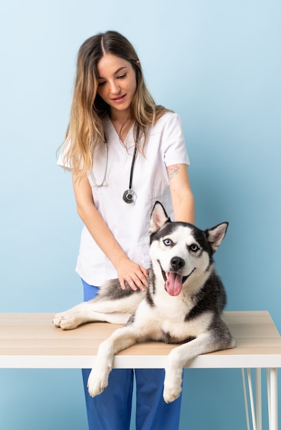 Tierarzt in der Tierklinik mit Siberian Husky Hund