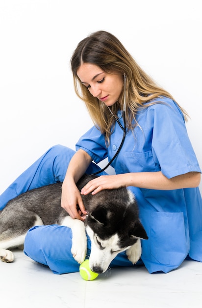 Tierarzt in der Tierklinik mit Siberian Husky Hund