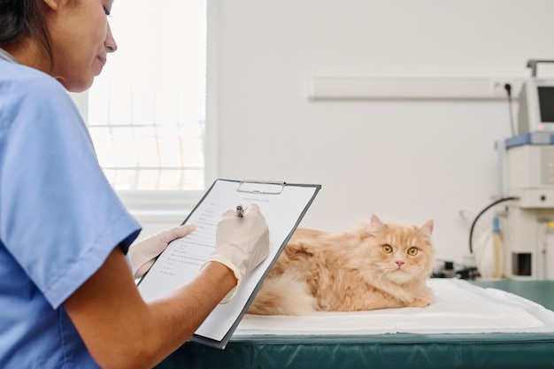 Tierarzt macht sich Notizen in der Krankenakte