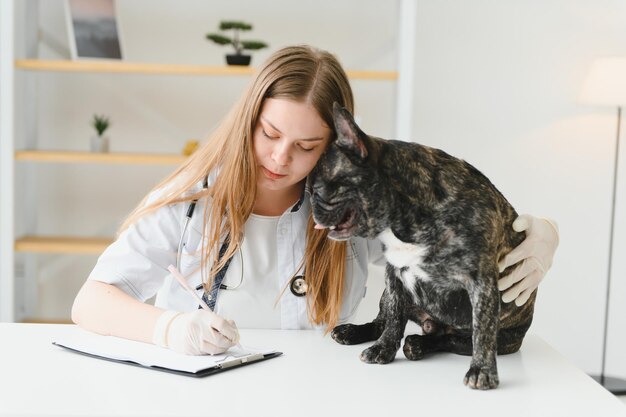 Tierarzt mit französischer Bulldogge im Tierarztkrankenwagen