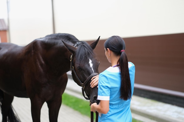 Tierarzt streichelt und kommuniziert mit dem Pferd im Freien