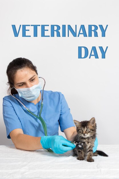 Tierarzt untersucht ein Kätzchen mit der Aufschrift Veterinarian's Day