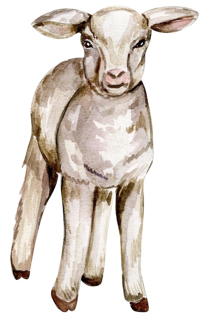 Tiere Aquarell Bauernhof