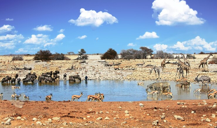 Foto tiere im wasserloch gegen den himmel im etosha-nationalpark