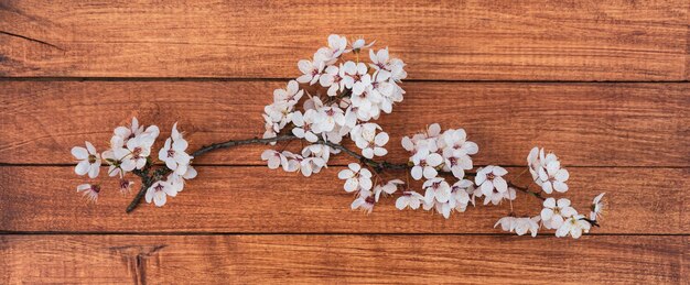 Tierna rama de cerezo con flores blancas sobre un fondo de madera