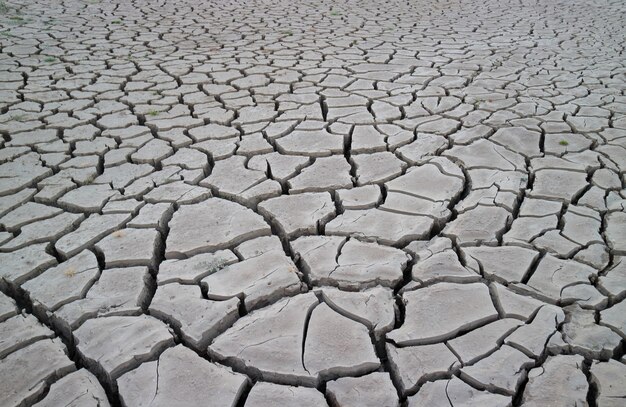 Tierra agrietada por antecedentes de sequía.