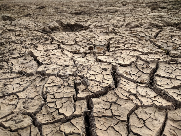 Tierra agrietada, fondo de suelo árido