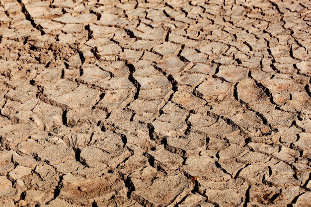 Tierra agrietada por la sequía