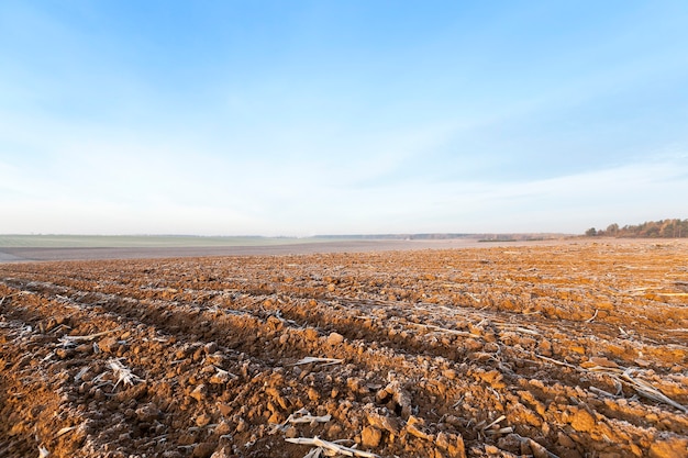 La tierra arada helada fotografiado en primer plano del campo agrícola arado la tierra está cubierta con escarcha blanca cielo azul