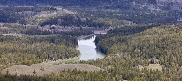 Tierra de árboles y montañas en la temporada de primavera del paisaje americano