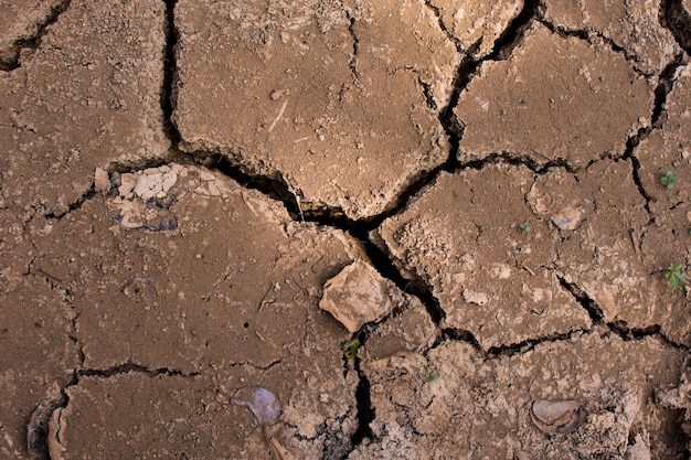 Tierra de arcilla agrietada en la estación seca