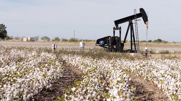 La tierra crea textiles y energía para el cultivo