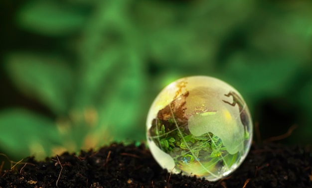 Foto tierra de cristal en el suelo en el bosque con la luz del sol el medio ambiente concepto del día de la tierra