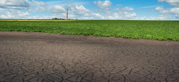 La tierra cultivable se seca después de las inundaciones debido a las fuertes lluvias campo de soja verde y fábrica con chimenea en la distancia ecología cambio climático