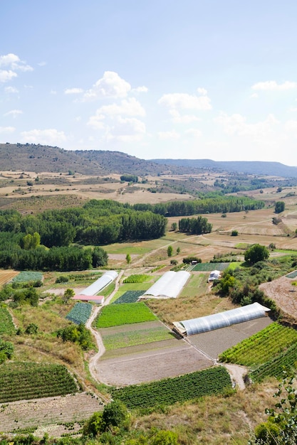 Tierra cultivada en un paisaje rural, Brihuega, España