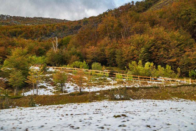 Tierra del Fuego-Nationalpark Patagonien Argentinien