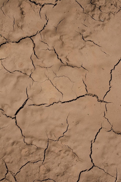 Tierra fangosa agrietada seca de color marrón
