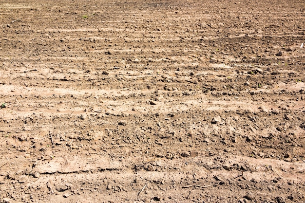 Foto tierra labrada como fondo agrícola