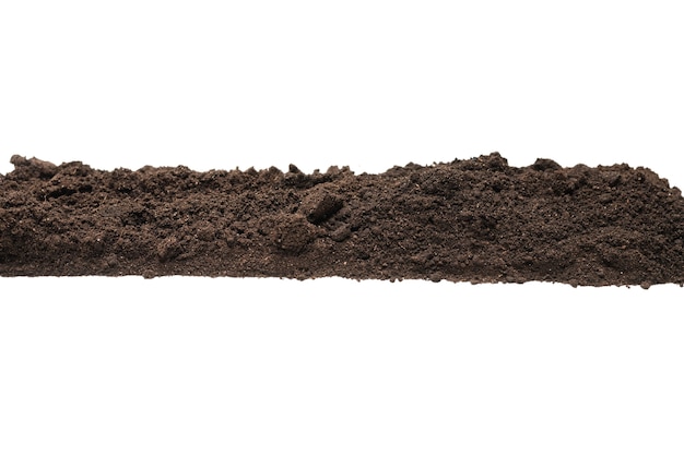 Tierra negra para planta aislada sobre fondo blanco. Cuadro. Copie el espacio.