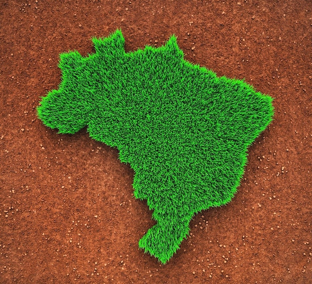 La tierra de las plantas de hierba de Brasil