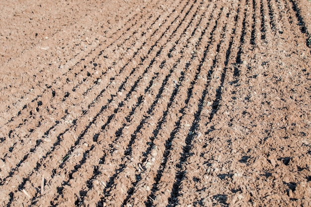 Foto tierra recién arada