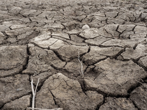 Tierra seca agrietada. Cambio climático, calentamiento global, sequía.