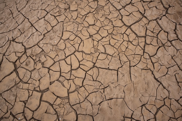 Tierra seca agrietada como fondo