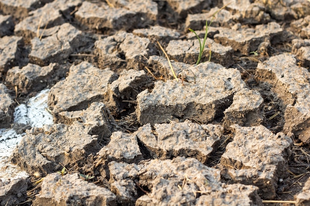 Tierra seca agrietada (estilo retro)