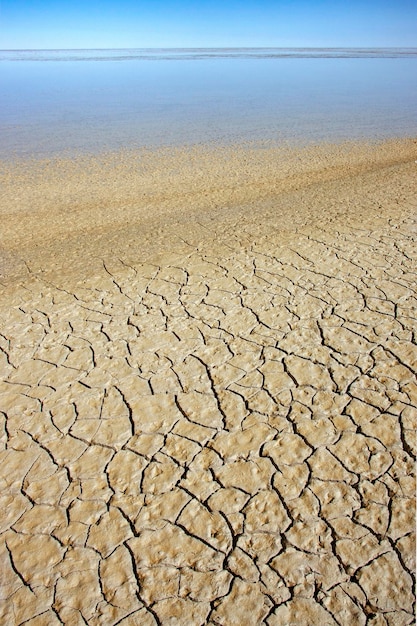 Tierra seca agrietada en una salina seca Namibia