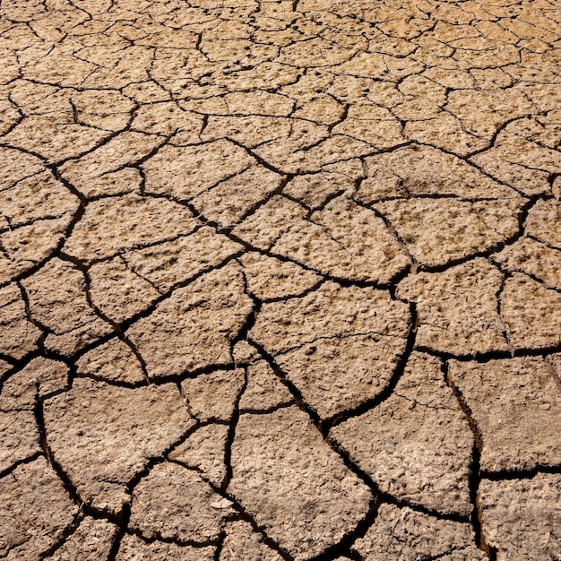 Tierra seca agrietada en una salina seca Namibia