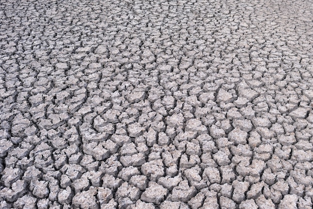 Tierra seca agrietada