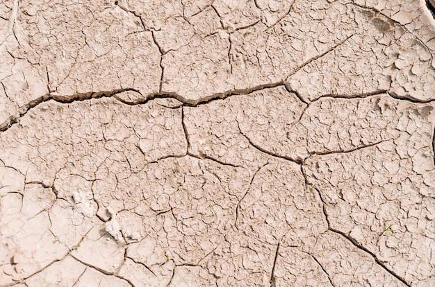 Tierra seca en el desierto pequeñas grietas, barro seco del agua evaporada.