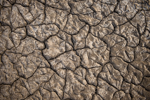 Tierra seca texturizada de un lago salado