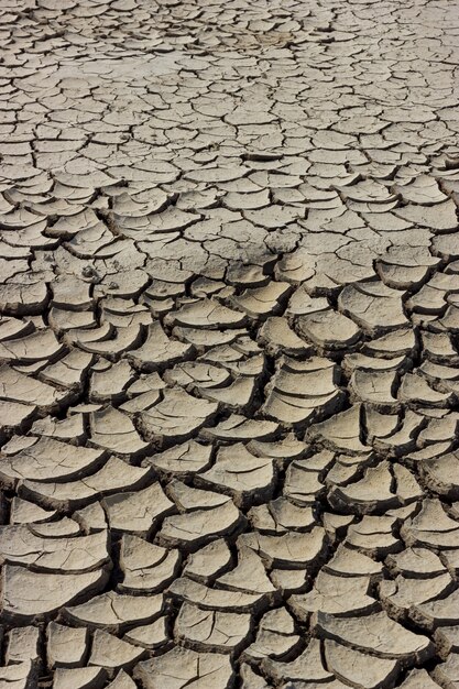 Tierra de tierra seca y agrietada