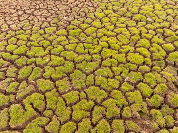 Foto la tierra con tierra seca y pasto cubierto por el calentamiento global