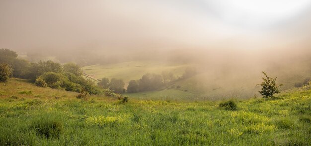 tierra verde al atardecer