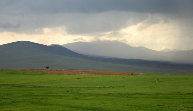 Tierra verde bajo un cielo muy nublado