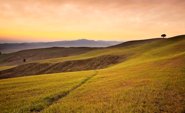 Foto tierras agrícolas cerca de volterra colinas onduladas al atardecer paisaje rural toscana italia