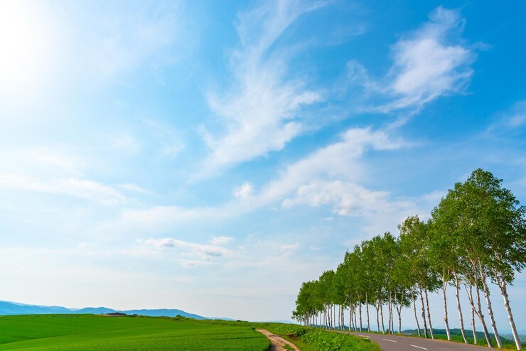 Tierras agrícolas hilera de árboles en la colina con fondo de cielo azul en un día soleado Paisaje natural