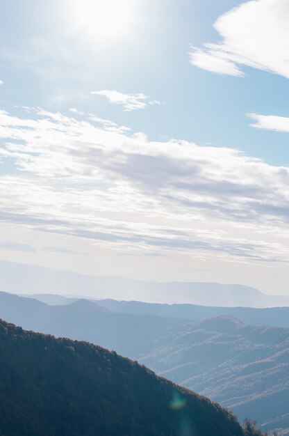 Tierras altas de los Cárpatos con montañas forestales gigantes y colinas cubiertas de hierba