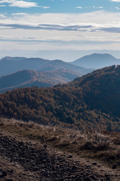 Tierras altas de los Cárpatos con montañas forestales gigantes y colinas cubiertas de hierba