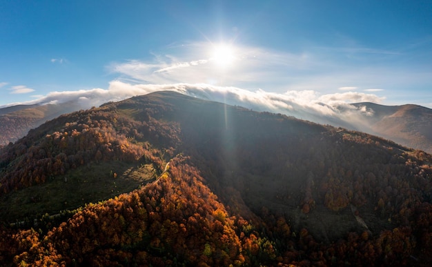 Tierras altas de montaña con árboles en el bosque de otoño al amanecer.