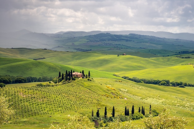 Tierras de cultivo cerca de Pienza en Toscana