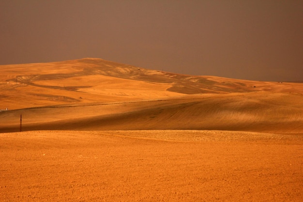 tierras de cultivo